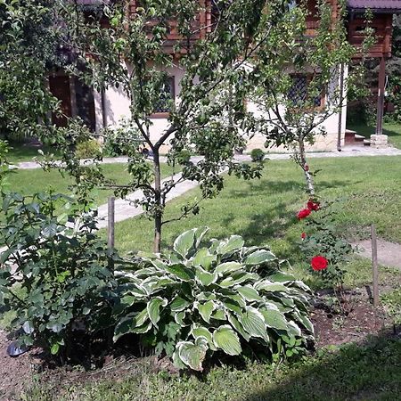 У Тарнавських Mykulychyn Exterior photo